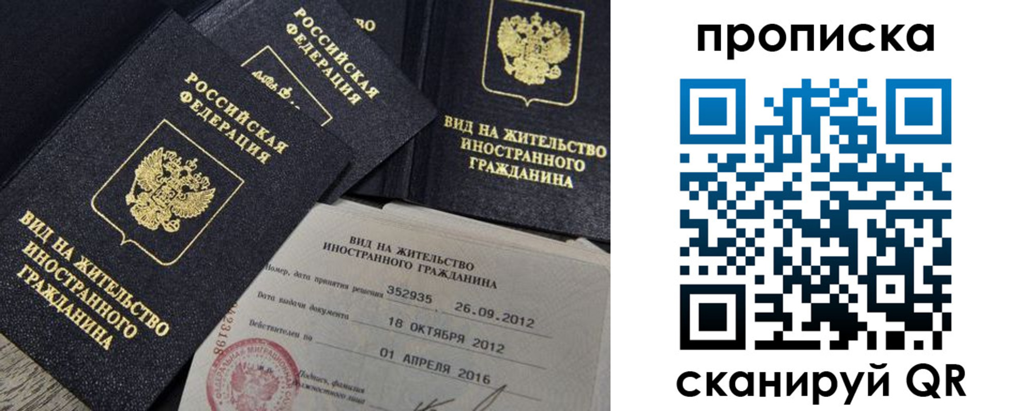 прописка в Дубне